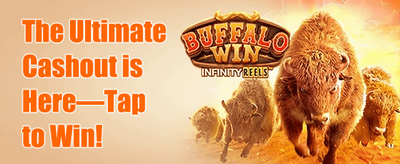 Mega Slot Free Spins screenshot
